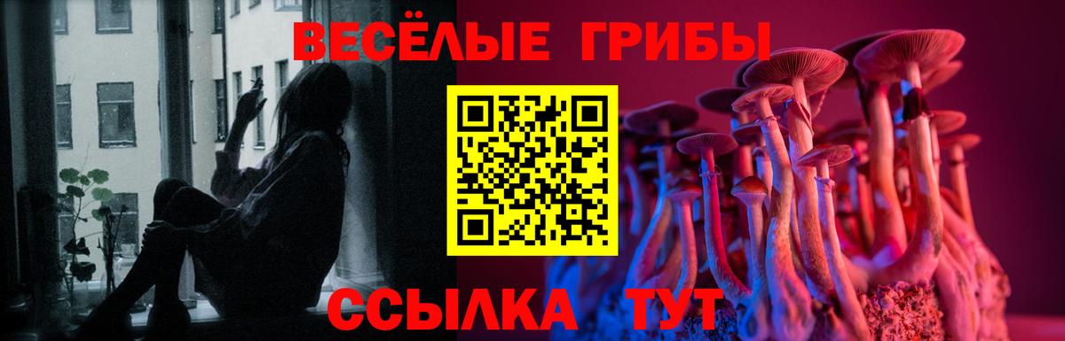 Псилоцибиновые грибы Psilocybe Таганрог